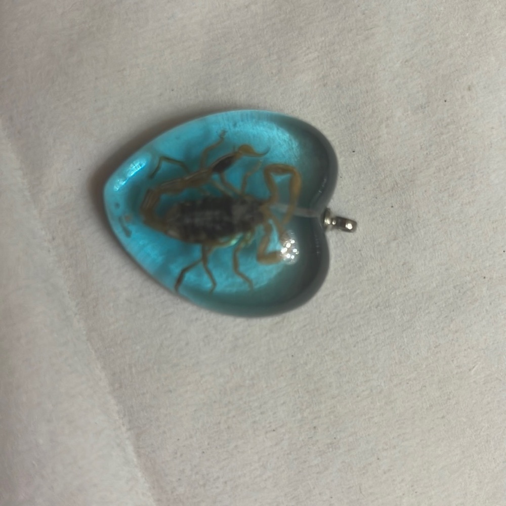 Turquoise Heart Resin Pendant Necklace with Preserved Scorpion